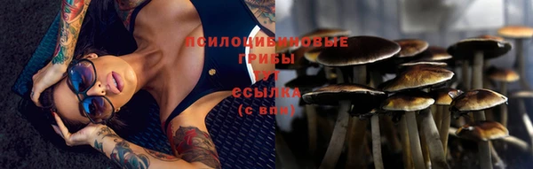 кокаин Белокуриха